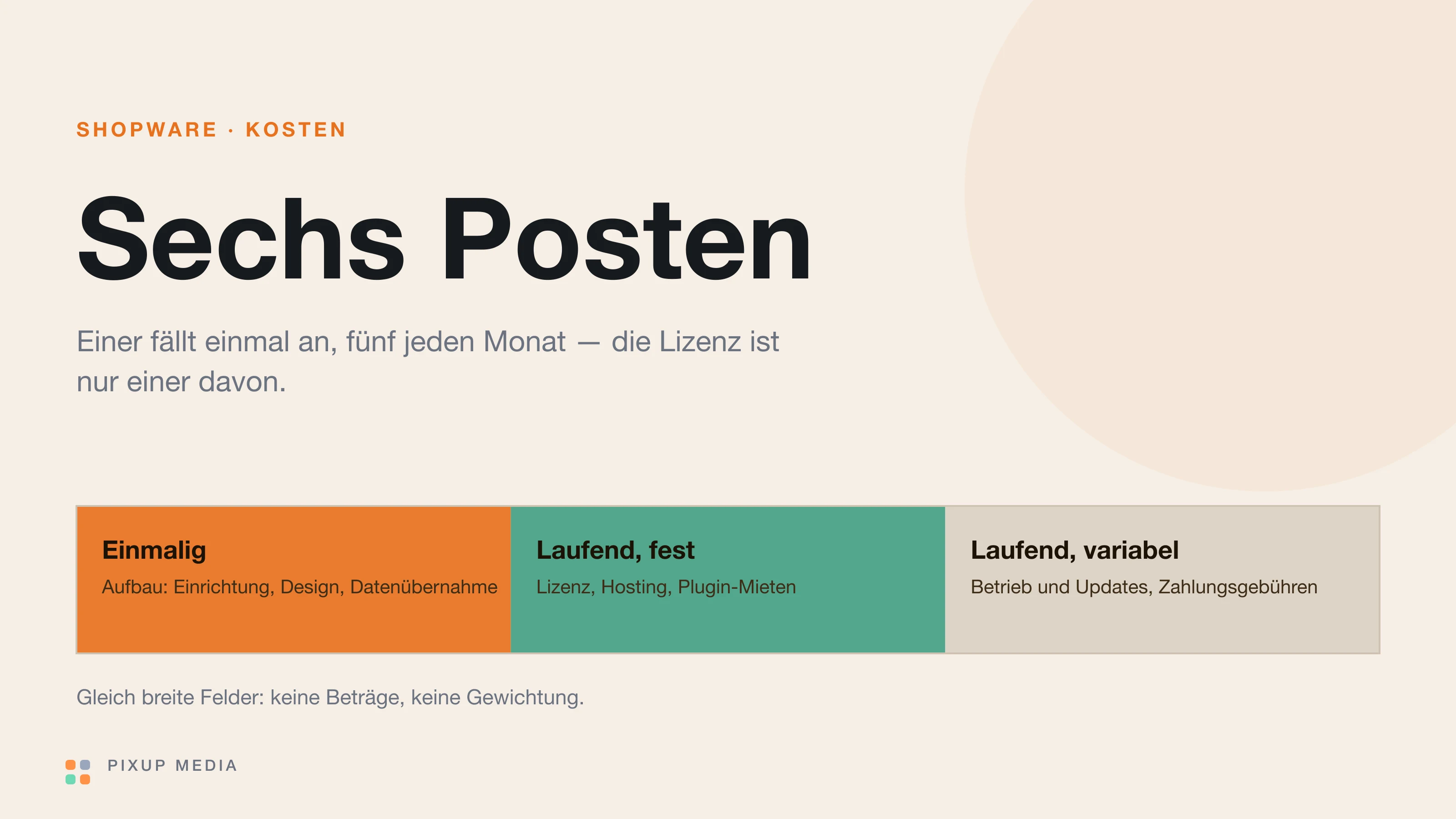 Grafik mit der Überschrift Sechs Posten und drei gleich breiten Feldern: einmalige Aufbaukosten, laufende feste Kosten für Lizenz, Hosting und Plugins sowie laufende variable Kosten für Betrieb und Zahlungsgebühren.