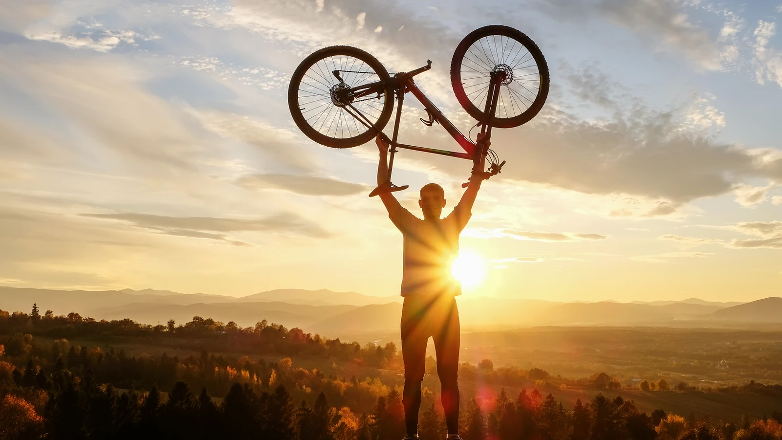 Hawk Bikes Impression 1